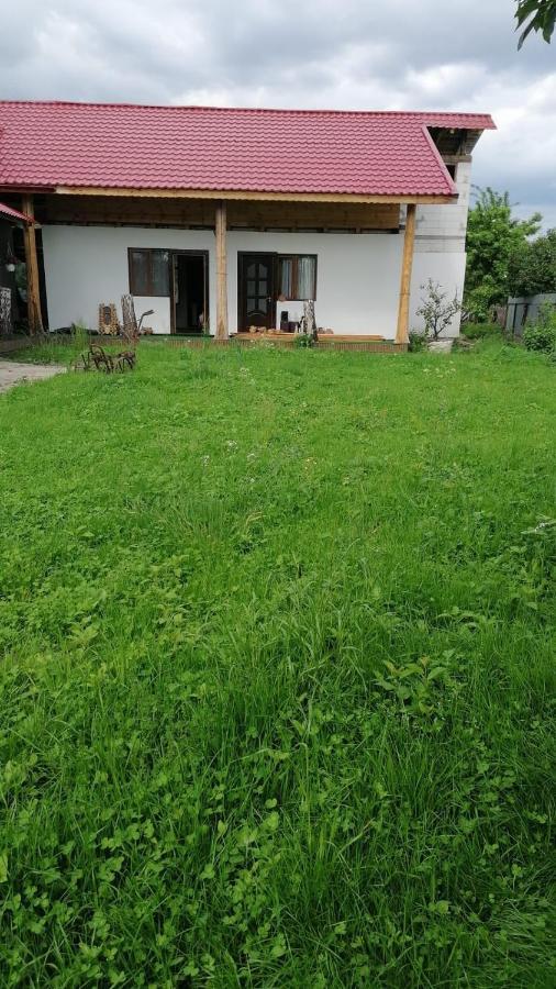 Jugul Taranului Agropensiune Polovragi, Gorj别墅 外观 照片