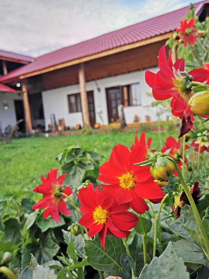 Jugul Taranului Agropensiune Polovragi, Gorj别墅 外观 照片
